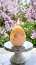 Easter bunny - photo_3_2026-03-24_12-55-32